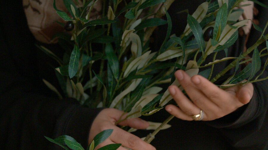 Photo: still from