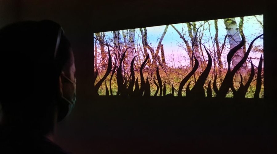 Foto: Nikša Sertić