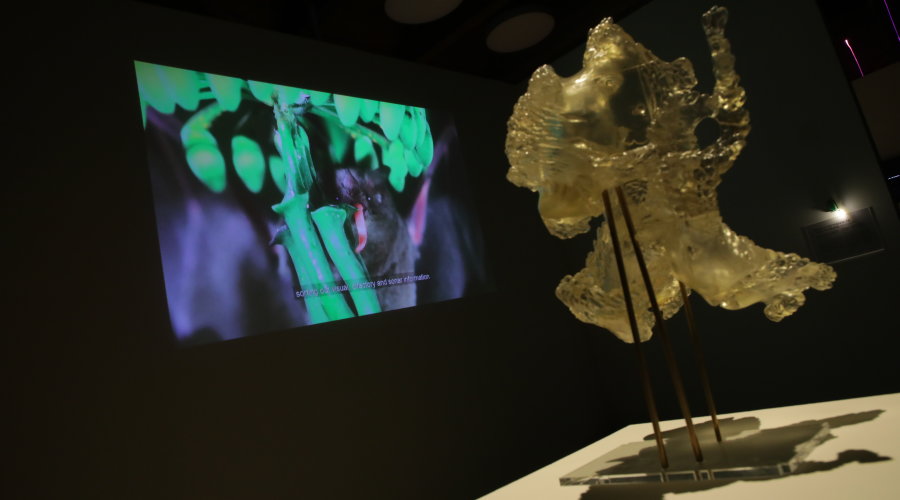 Foto: Nikša Sertić