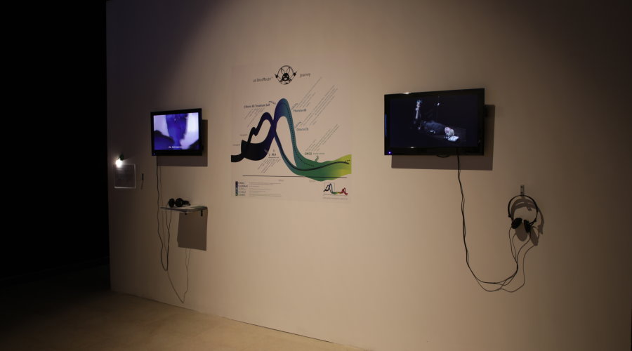 Foto: Nikša Sertić