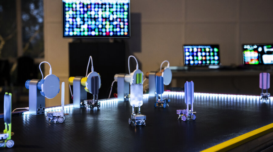 foto Sanja Bistričić Srića