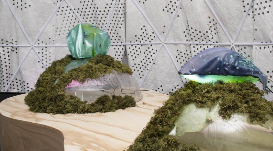 Fotografija: Ljubaznošću umjetnice