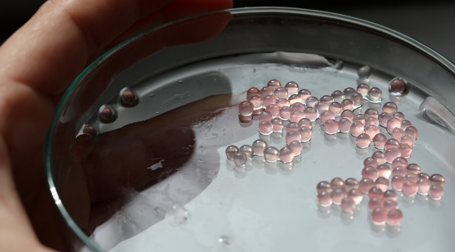 Fotografija ustupljena ljubaznošću umjetnice 