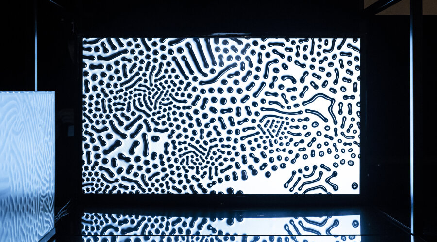 foto Sanja Bistričić Srića